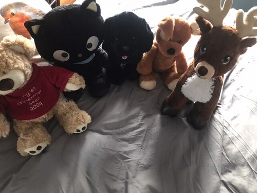 Build bear factory tedddies - a,