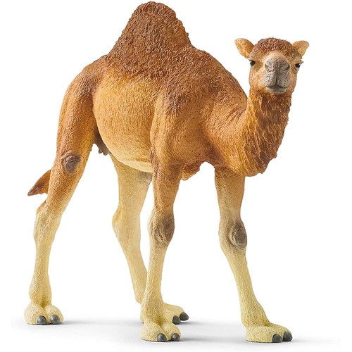 Schleich wild life - wild,