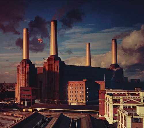 Pink floyd animals - animals, 12"