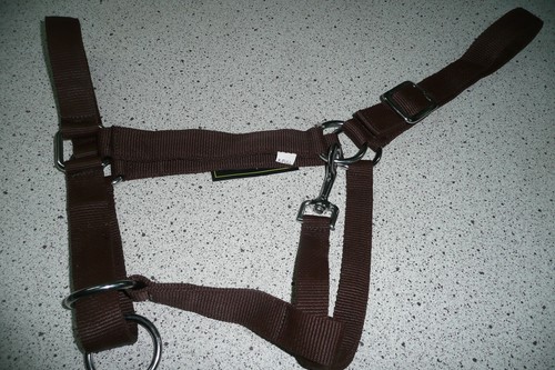 Stabiles halfter - stabiles,