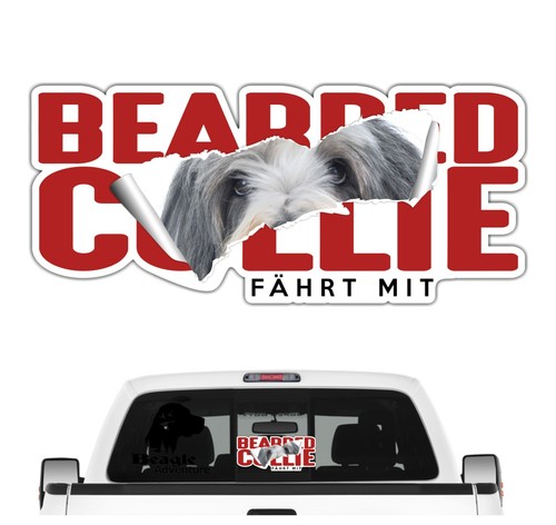 Auto aufkleber bearded collie - aufkleber,