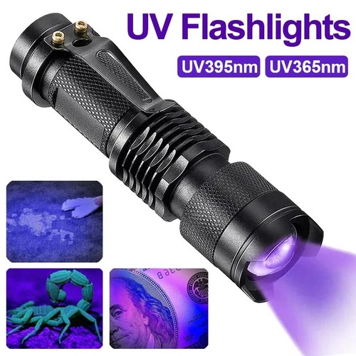 Taschenlampe schwarzlicht - uv,