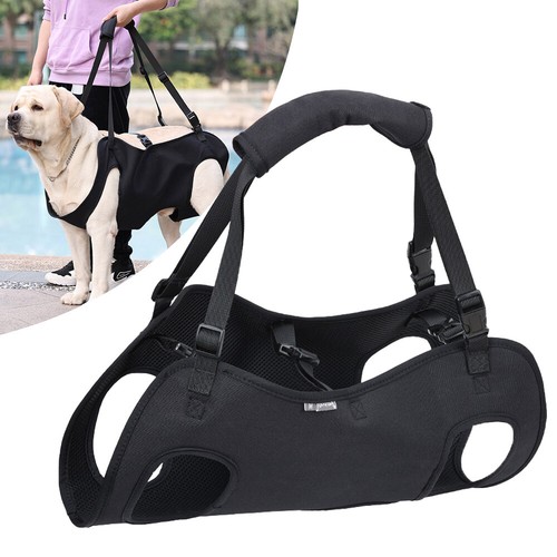 Hunde tragehilfe gehhilfe - hunde,
