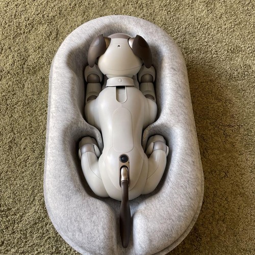 Aibo hauptgerät ers1000 mit - aibo,
