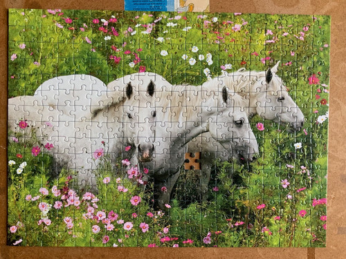 300 teile puzzle pferde - pferde, auf