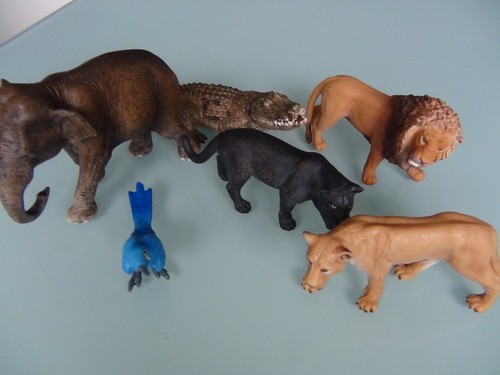 Schleichtiere afrika - schleichtiere,