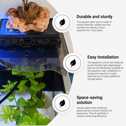 Eck aquariumregal zur - aquariumregal,
