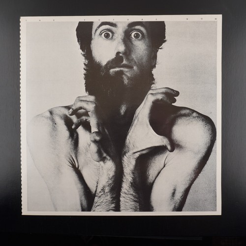 Peter hammill the - peter,
