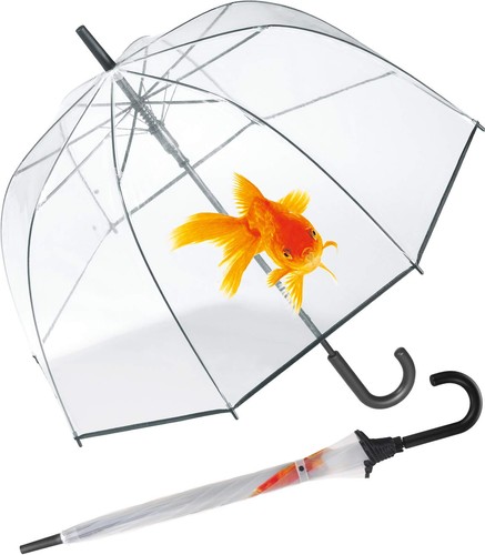 Regenschirm transparentschirm - regenschirm,