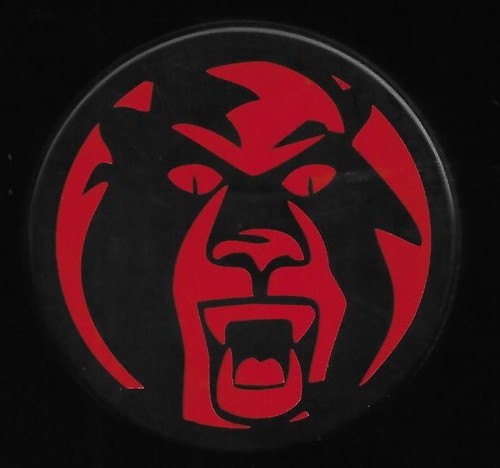 Eishockey puck emblem - eishockey,