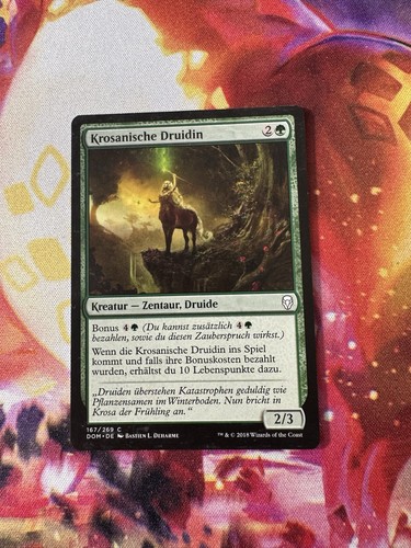 Mtg koreanische druidin - mtg,