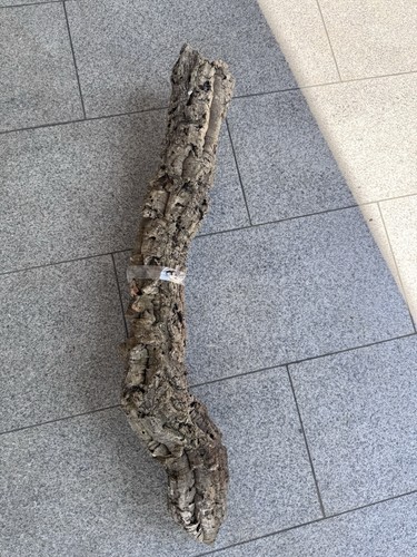 Xxl kork röhre - kork, natur