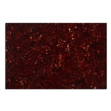 Musiclily 4Ply Tortoise