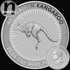 KÄNGURU - Australien 2024 - 1