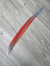 52 cm Feder ?❤ Papageienfeder  Ara Vogelfeder Schwanzfeder blau-rot 