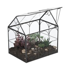 Pflanzenterrarium Florarium Hydrokultur Glas Pflanzenhaus Tischterrarium Haus