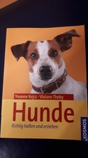 Hunde: Richtig halten und