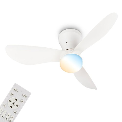Deckenventilator mit
