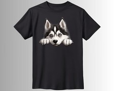 Siberian Husky Dog Hunde