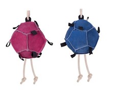 Pferde Spielball blau oder