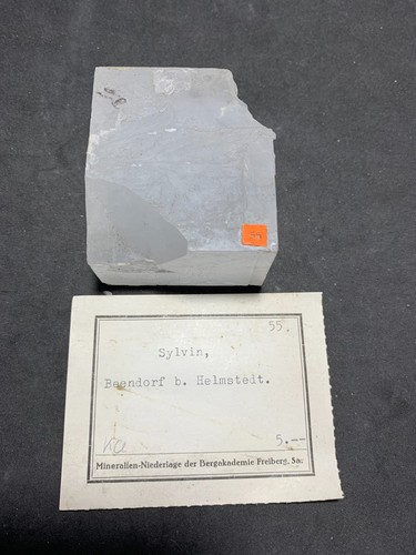 Sylvin beendorf helmstedt - sylvin,,