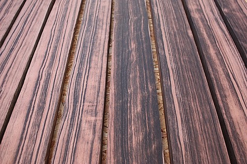 Amara asiatisch gestreift - amara,
