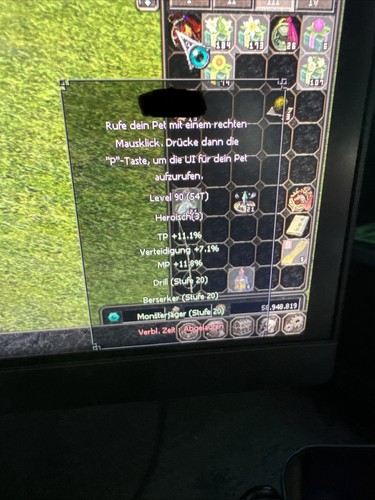 Metin2 ruby chimera pet - metin2, lvl