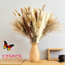 125x Pampasgras Bündel Blumen