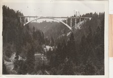 Press Photo The Largest