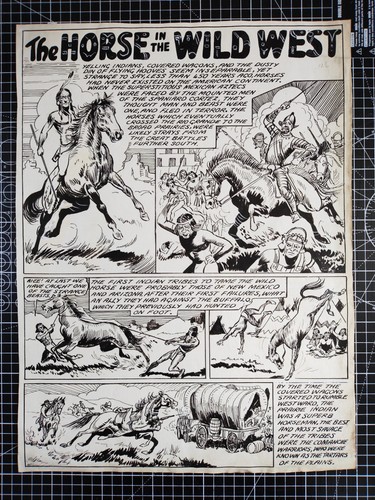 The horse - the,