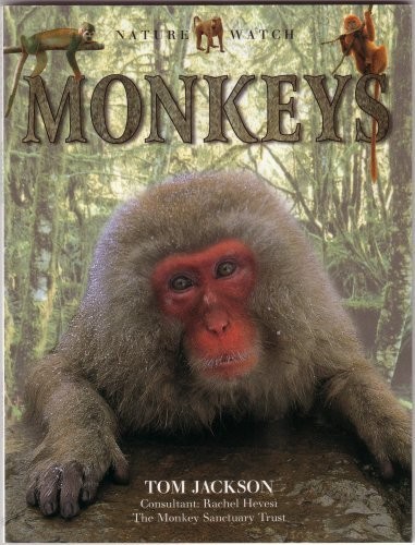 Monkeys tom - watch),,