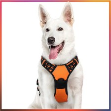 Verstellbares Anti-Zug