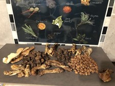 Welpenpaket Naturkauartikel