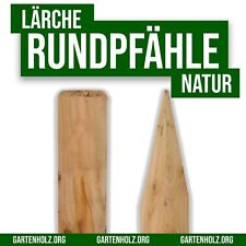 Pfähle Pfosten Lärchen Holz