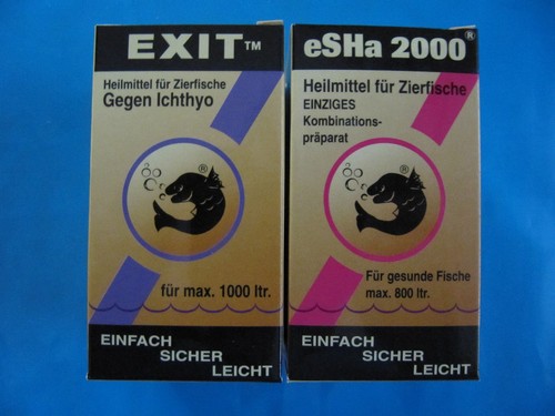 Esha set 2000 - je, 20