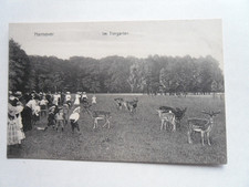 AK Hannover Tiergarten Damwild Hirsch Leute Kinder mit Hut 1911 Tierpark Zoo