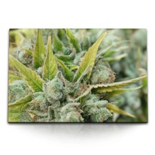 120x80cm Wandbild auf Leinwand