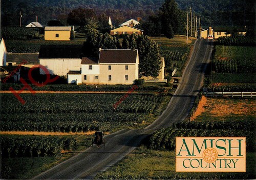Ansichtskarte amish country - ansichtskarte:,