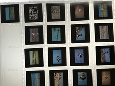 Dia sammlung, Dias, alte