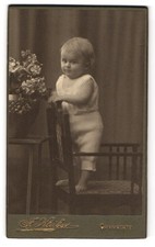 Fotografie kleiber - fotografie,