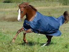 Bucas Irish Turnout Light 50