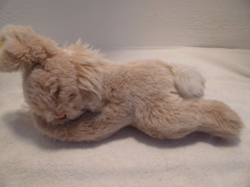 Steiff hase - 🎀steiff,