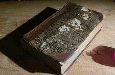 Shakespeare dramatische Werke übersetzt von Schlegel fünfter Teil 1799