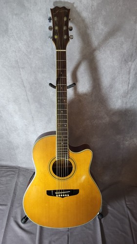 Fenix acoustic guitar - acoustic,