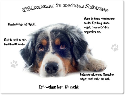 Warnschild 20x30cm - 20x30cm,