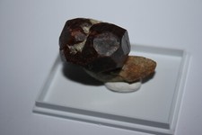 Almandin Granat Paraiba