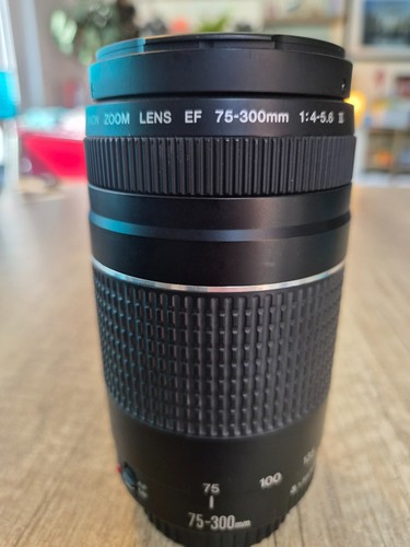 Canon zoom lens 300mm - lens, 75-300mm
