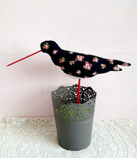 Strandlaufer Schwarz Vogel