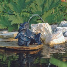 Ubbink Wasserspeier Frösche (2)