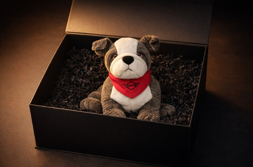 Exklusive geschenkbox mit mini - exklusive,